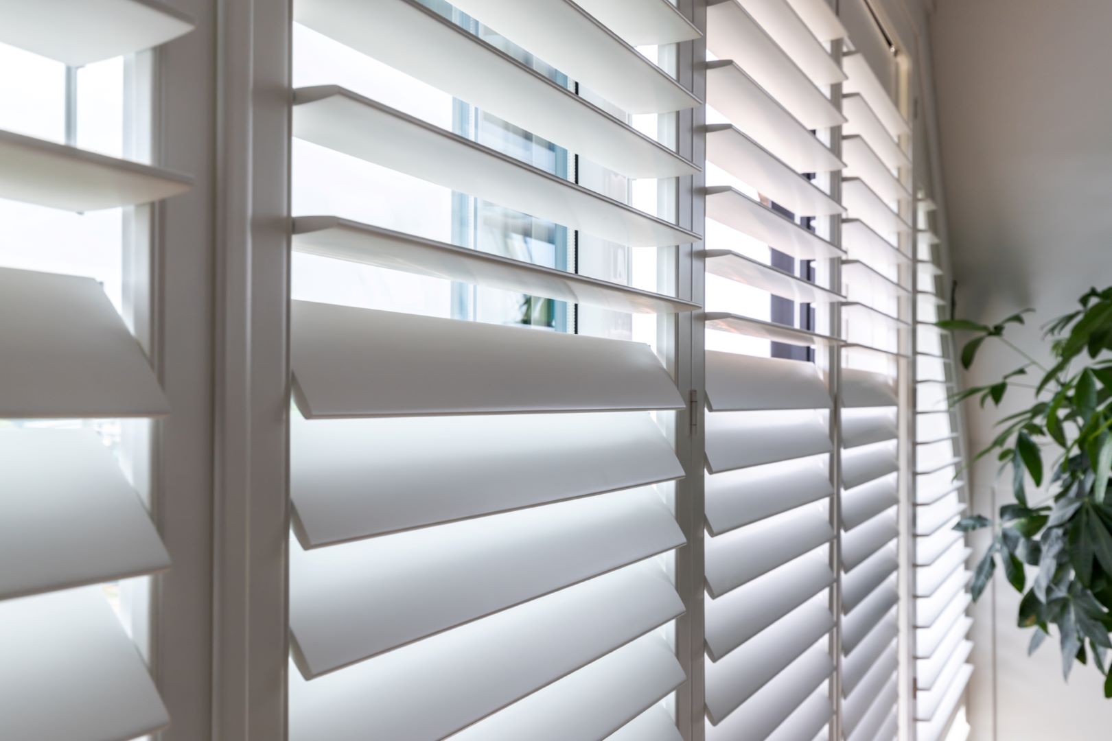 Window shutters vs blinds