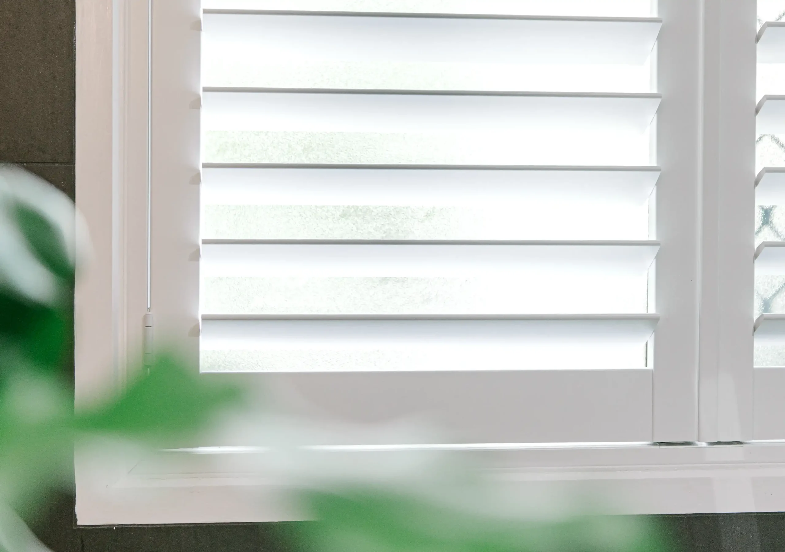 Polymer Shutters